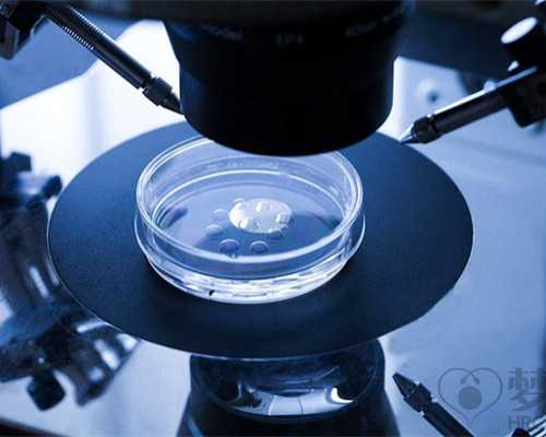 泰国第三代试管婴儿收费标准详解：专业辅助生殖医疗费用解析