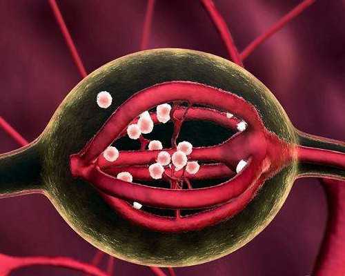 输卵管不通的幕后黑手有哪些？深度解析常见病因与助孕选择