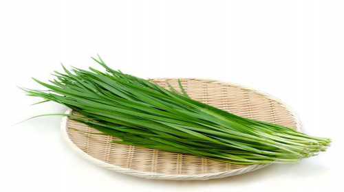 2026年深度解析：三代试管婴儿宝宝是否比自然受孕的孩子更聪明？